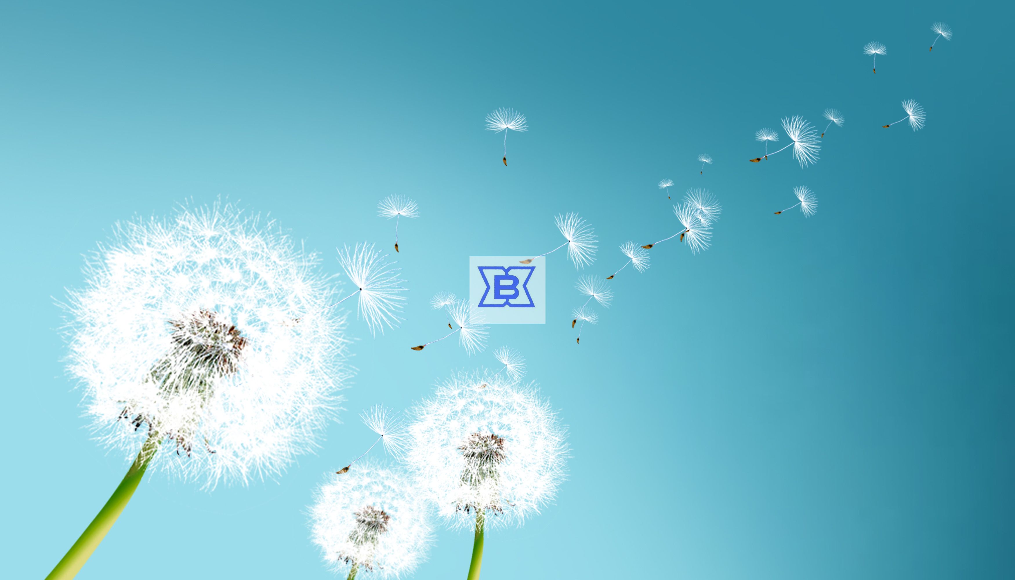 8188cc威尼斯(中国)有限公司官网